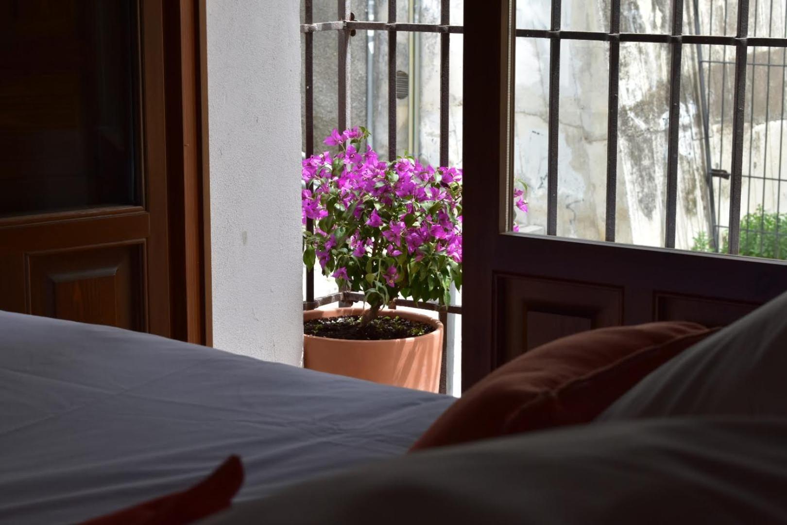 Apartamentos Alhambra Granada Kültér fotó
